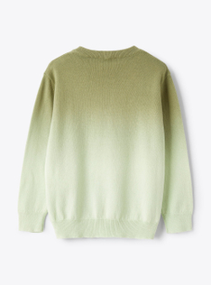 Pull en coton biologique vert sauge - Vert | Il Gufo