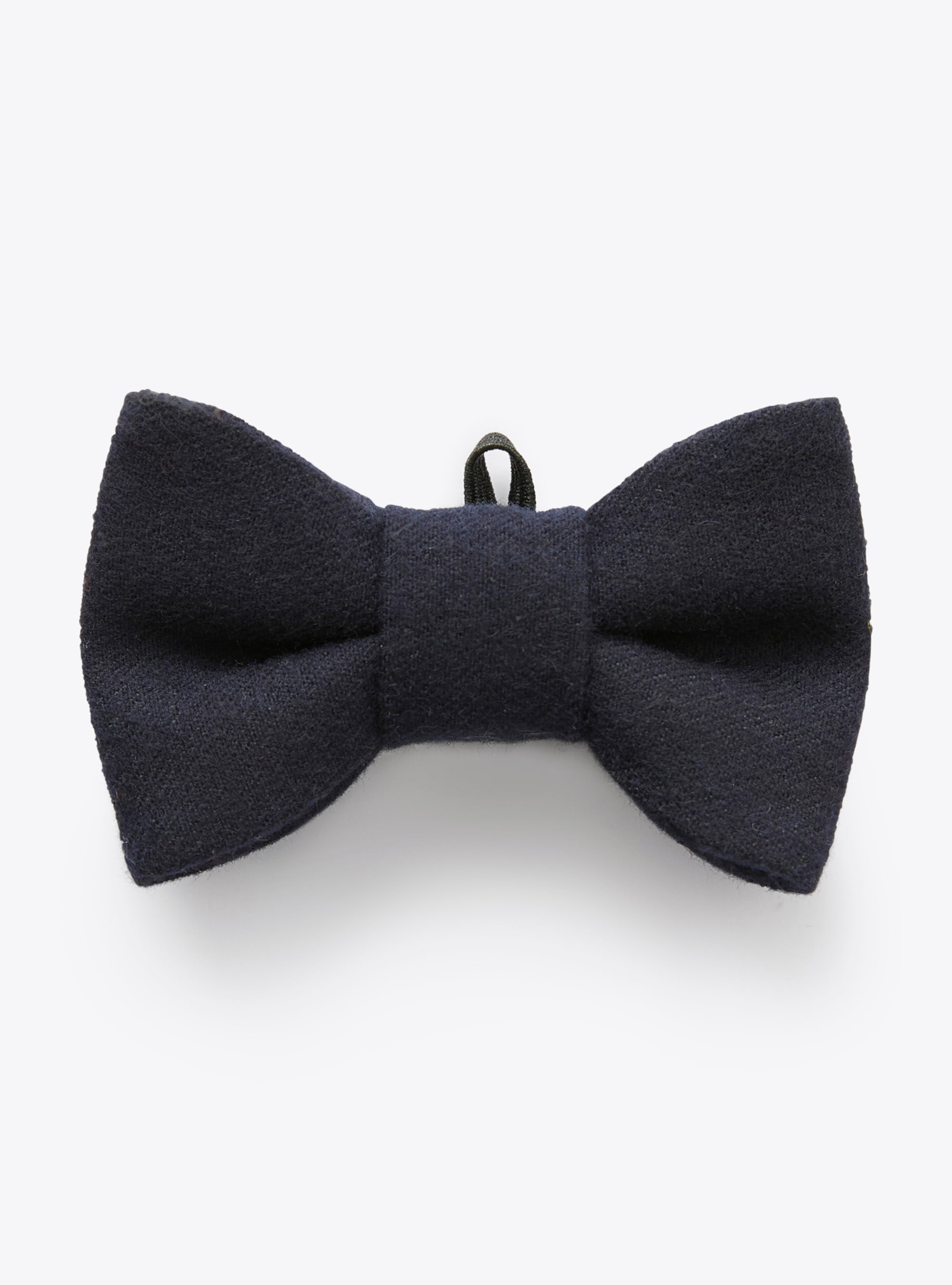 Bow tie in blue technowool with band - Accessories - Il Gufo
