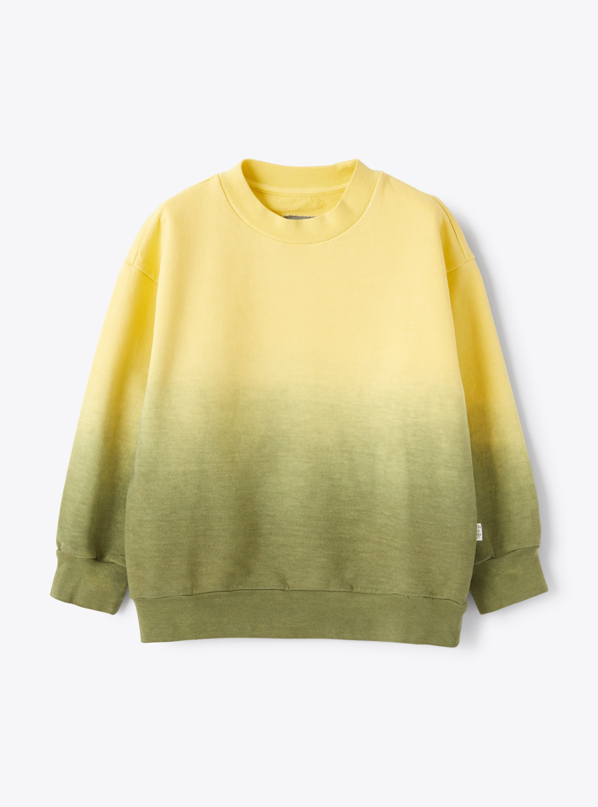 Round-neck sweatshirt with gradient effect - Sweatshirts - Il Gufo