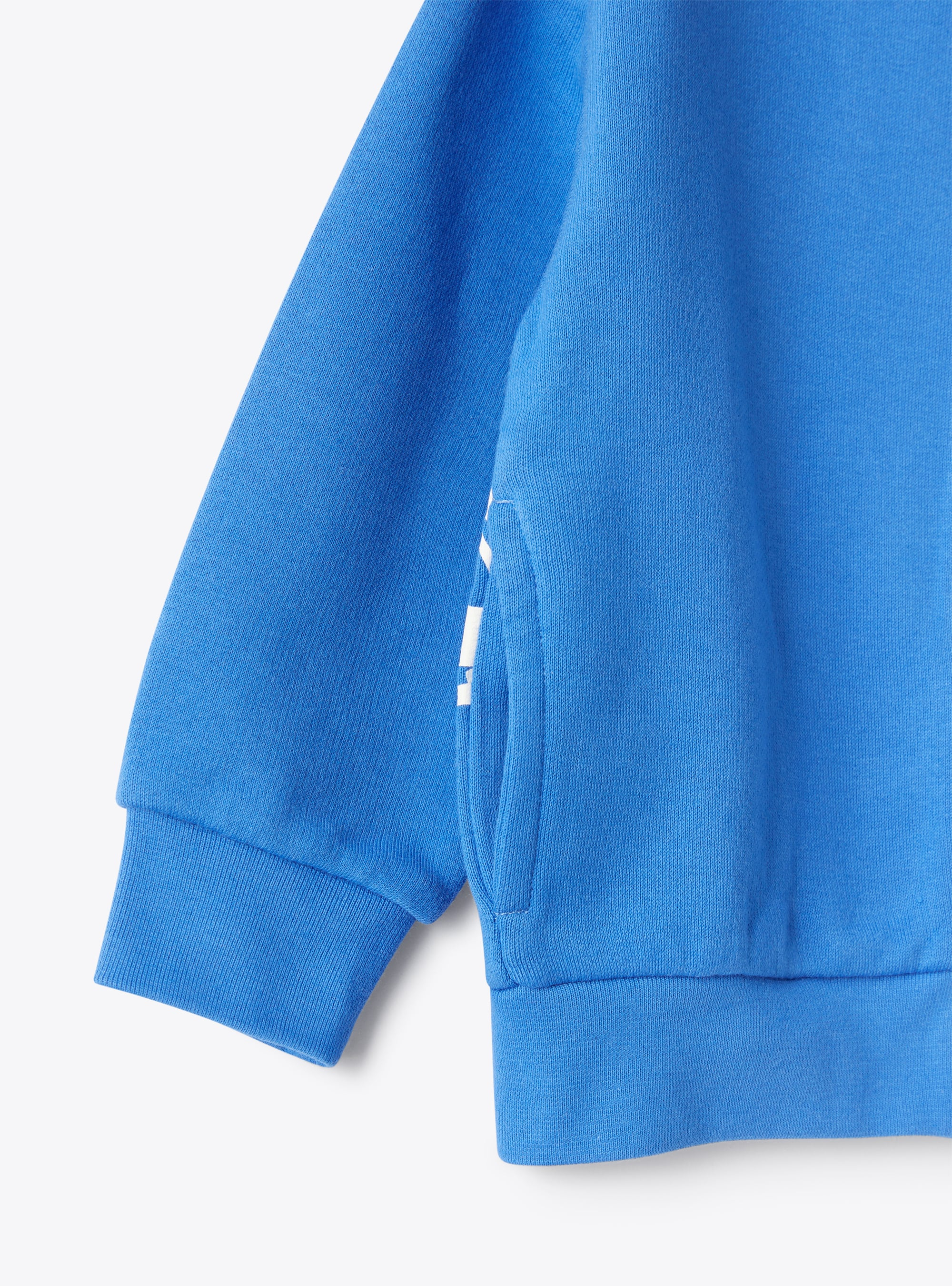 Giacca in felpa con zip con stampa  - Azzurro | Il Gufo